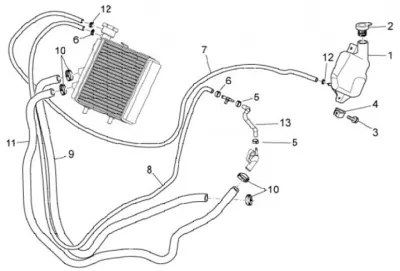 Radiator hose