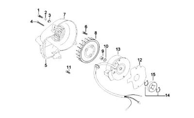 Rotor