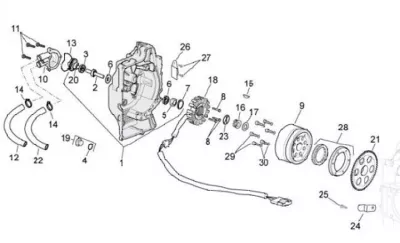 Stator