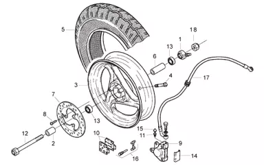 Front wheel