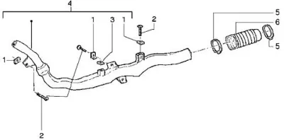 Radiator hose