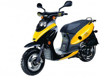 Cobra 100
