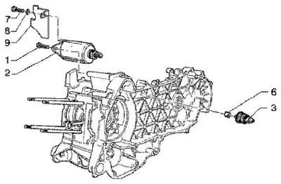 Starter Motor