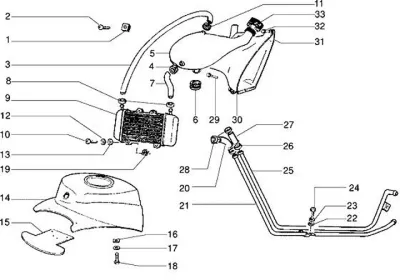Radiator - radiator hose