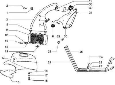 Radiator - radiator hose