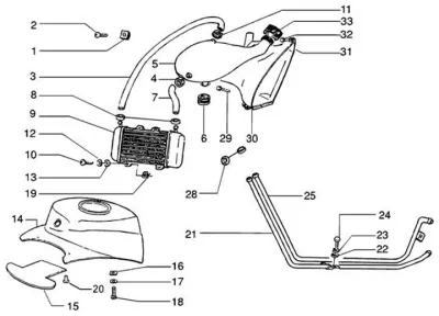 Radiator - radiator hose