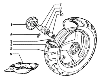 Belakang