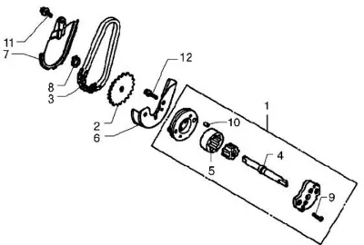 Oil pump - timing chain