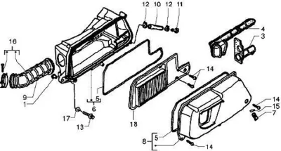 Air intake filter