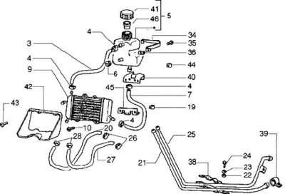 Radiator - radiator hose