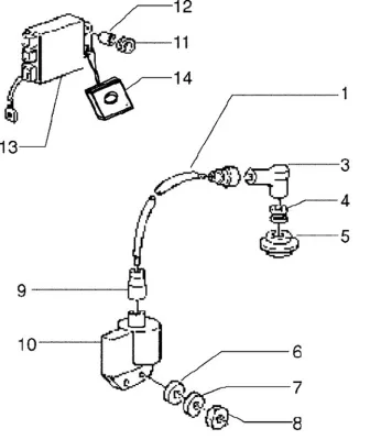 Bobine (Wfs)