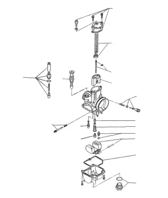 26