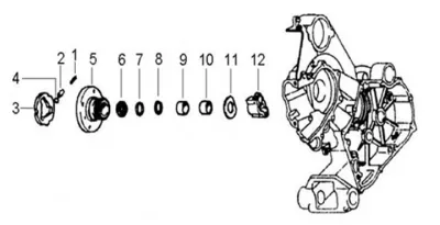 Driven half-pulley