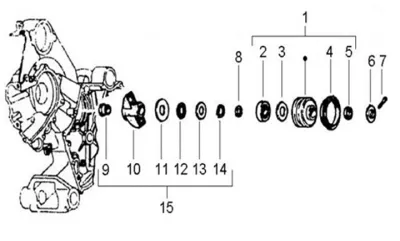 Hydraulic pistons
