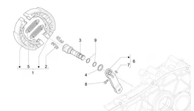Rear brake shoes