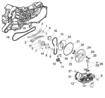 Oil pump - timing chain