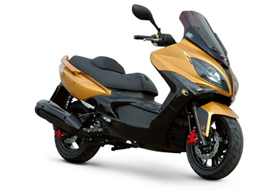 GTS 250 EFI CBS Evo (2009-2010, RFGLM25WY)
