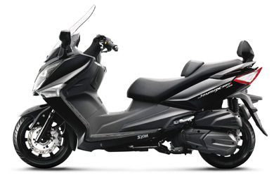 GTS 300 EFI CBS Evo (2009-2011, RFGLM30WY)