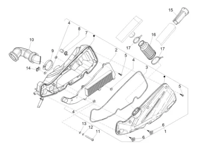Air intake filter