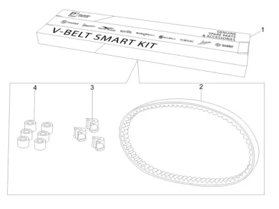 Kit V-Belt Smart