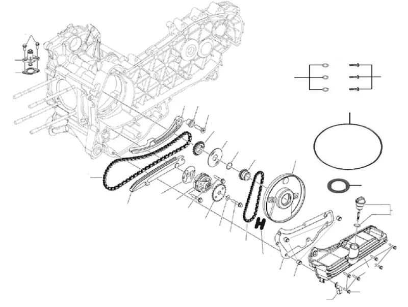 Pompa dell'olio e catena di distribuzione