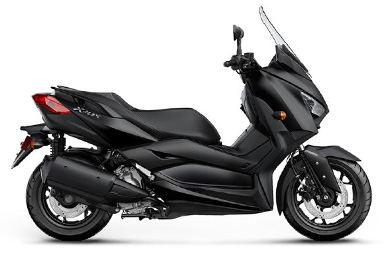 X-Max 125 Black Max (2009, YP125R / 1B9)